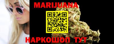 крисы Лесосибирск