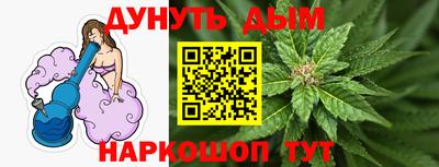 крисы Лесосибирск