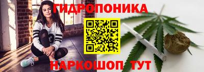 крисы Лесосибирск
