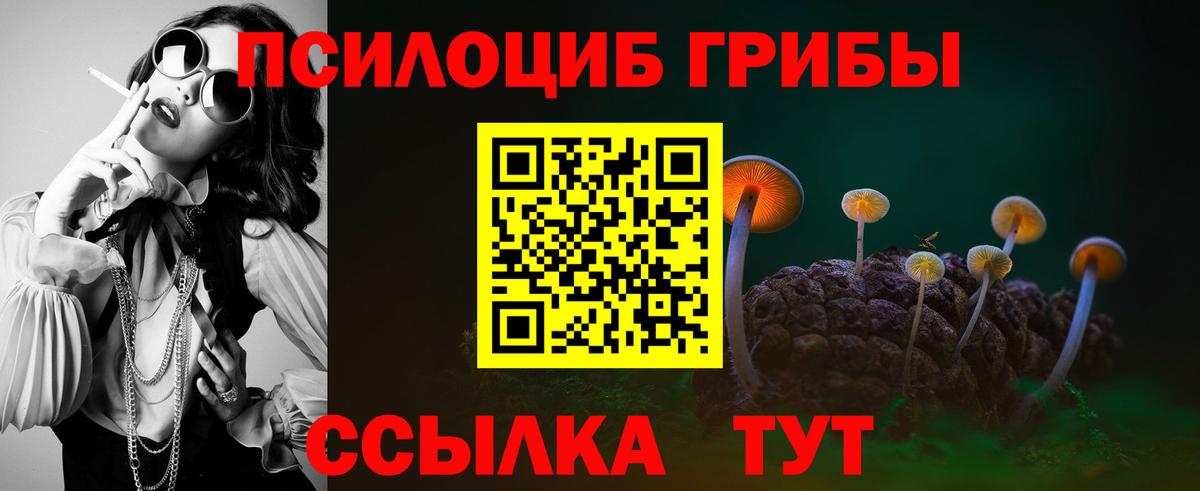 Псилоцибиновые грибы Cubensis Усть-Илимск